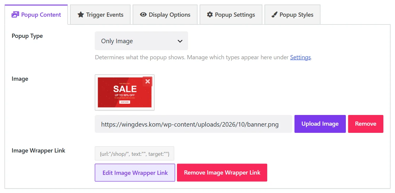 The fields of an Only Image popup