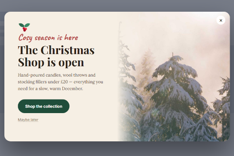 Christmas shop preset