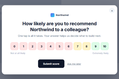 NPS survey preset
